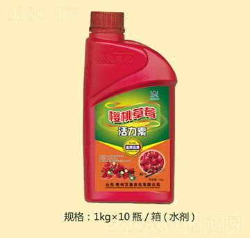 櫻桃草莓活力素-萬(wàn)泉農(nóng)化