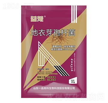 地衣芽孢桿菌-益蘢-百農(nóng)思達(dá)