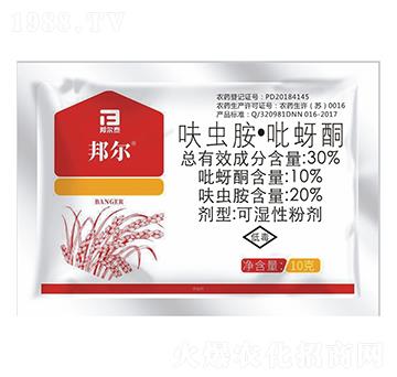 30%���x�������x��-�̩����