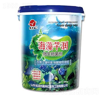 微生物菌劑-海藻芊潤(rùn)-雁來紅