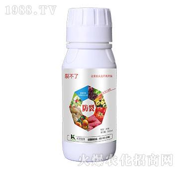�Ѳ���-����ֲ��