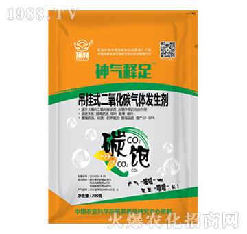 ����ʽ������̼?x��)��w�l(f��)����-��(l��)��