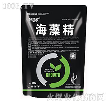 ���徫-��(l��)��