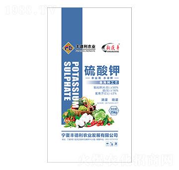 �����-�S����