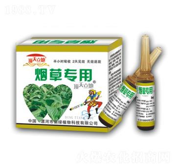 煙草專用-頂天立地-恒綠植物