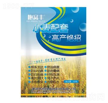 小麥配套高產(chǎn)絕招-抱窩豐-恒綠植物