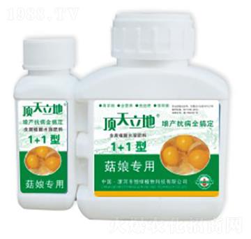 菇娘專用含腐植酸水溶肥料（1+1型）-頂天立地-恒綠植物