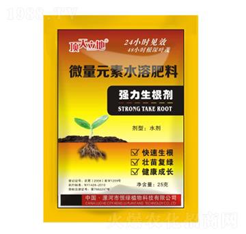 強力生根劑-頂天立地-恒綠植物