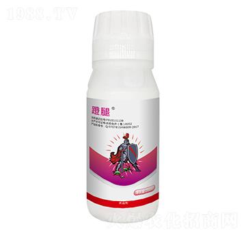 5%��x(ch��ng)��-����-�����r(n��ng)��