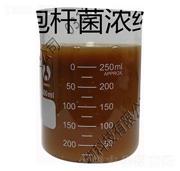 復(fù)合濃縮微生物菌液-瑞谷生物