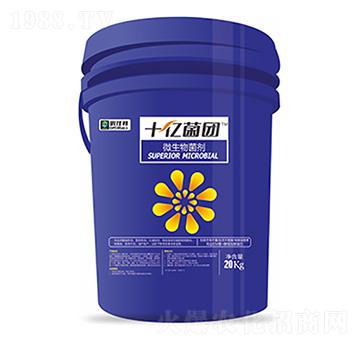 ΢�������-ʮ�|���F-�����Ƽ�