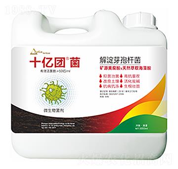 ���ѿ�ߗU��-ʮ�|�F��-�����Ƽ�