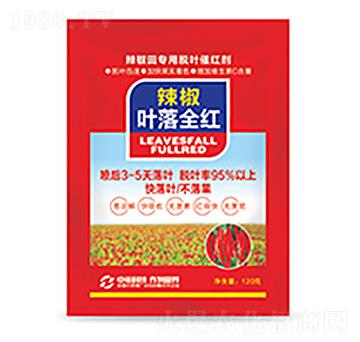 �����~��ȫ�t-�����Ƽ�