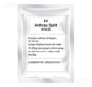 ̿���`-�����Ƽ�