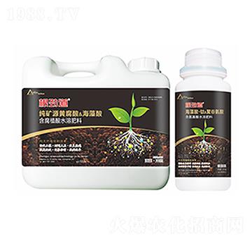 ���ŵ�-�����Ƽ�