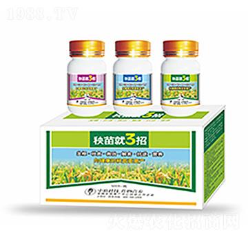 �����3��-�����Ƽ�