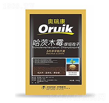 �W��-�����Ƽ�