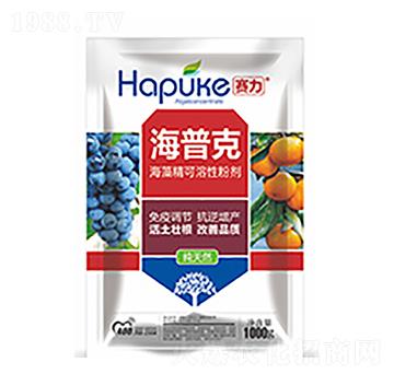 ِ�����տ�-�����Ƽ�