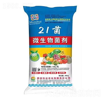 ΢�������-21��-���_(d��)�r(n��ng)��