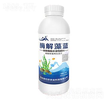 含腐殖酸水溶性肥料-酶解藻藍-紫州農業(yè)