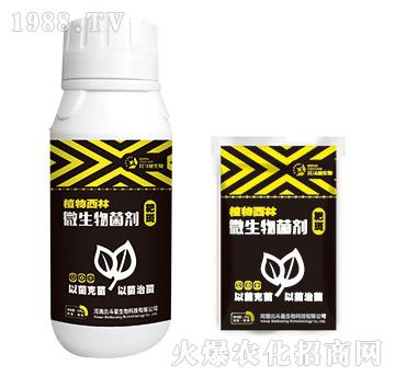 �аߌ�(zhu��n)��΢�������-ֲ������-������