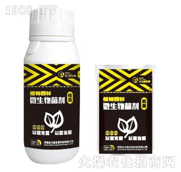 ���S��(zhu��n)��΢�������-ֲ������-������