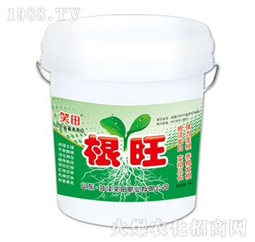 ����-Ц��