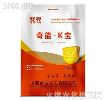 奇能·K寶-賽克-臺達(dá)