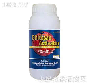 根來(lái)根旺-海拉維