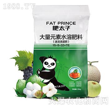 大量元素水溶肥料15-5-32+TE-肥太子