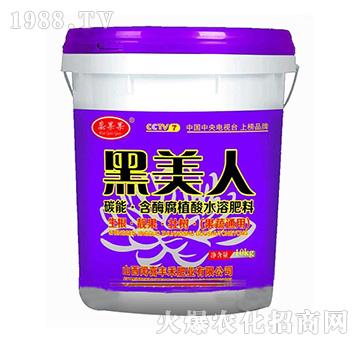 碳能·含酶腐植酸水溶肥料-黑美人-豐禾