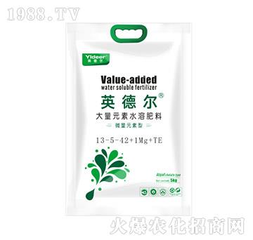 ����Ԫ��ˮ�ܷ���13-5-42+1Mg+TE-Ӣ� �-� �����