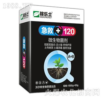 ΢�������A+B-����120-�֠���