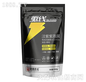 �������߾��w��-򌾀-��ɭ�r(n��ng)��