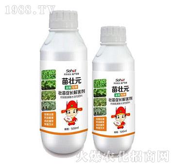 壯苗促長解害劑-苗狀元-升華永樂