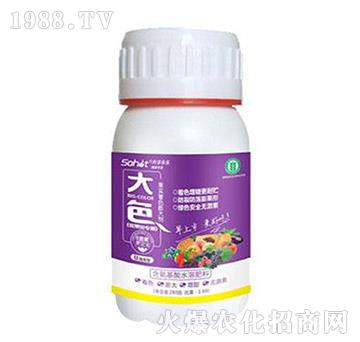 果實(shí)著色膨大劑-大色-升華永樂(lè)