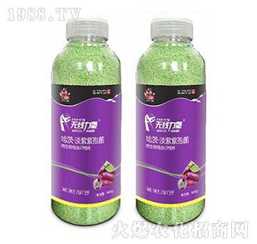 無線力量-薯幫主-升華永樂