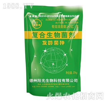 ��(f��)���������-�l(f��)�;��N