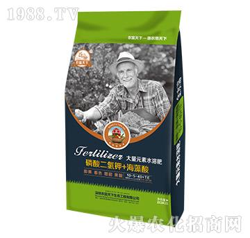 20kg大量元素水溶肥10-5-40+TE-農(nóng)富天下