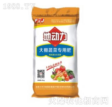 �����߲ˌ��÷�-�؄���