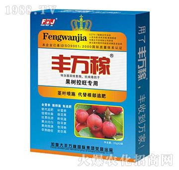 ����������÷�-�����