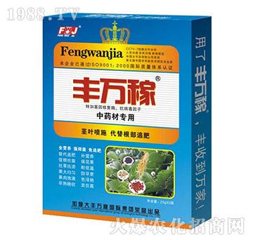 ��ˎ�Č���-�����I�B(y��ng)��