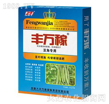 ���ǌ��÷�-���������