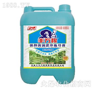 ���ǌ��Ï��־��ι��_ʩĸҺ-�S�f��