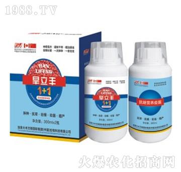 �����S������N��-�S�f��