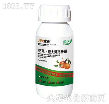 枯草·巨大芽孢桿菌-菌伐-富農(nóng)