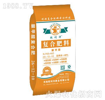 ���ȩ��(f��)�Ϸ���26-12-10-������