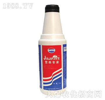 �I�B(y��ng)����-�μ�