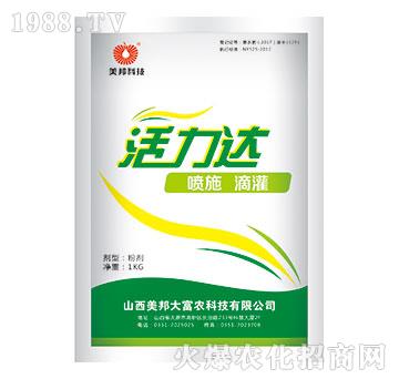 �����_(d��)-����Ƽ�