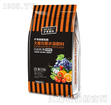 高鉀型大量元素水溶肥料5-10-35+TE-護(hù)果國際